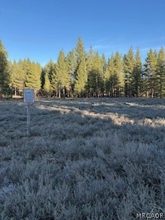 34557 Polique Canyon Road Lucerne Valley, CA 92356 - Photo 2 of 17