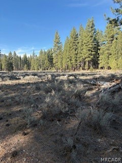 34557 Polique Canyon Road Lucerne Valley, CA 92356 - Photo 3 of 17