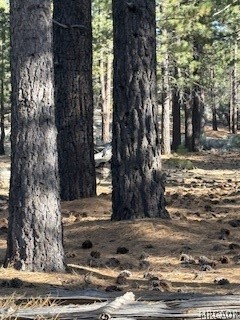 34557 Polique Canyon Road Lucerne Valley, CA 92356 - Photo 4 of 17