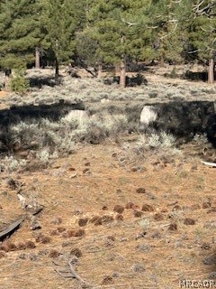 34557 Polique Canyon Road Lucerne Valley, CA 92356 - Photo 5 of 17