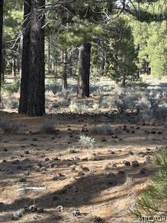 34557 Polique Canyon Road Lucerne Valley, CA 92356 - Photo 6 of 17