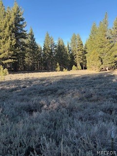 34557 Polique Canyon Road Lucerne Valley, CA 92356 - Photo 8 of 17