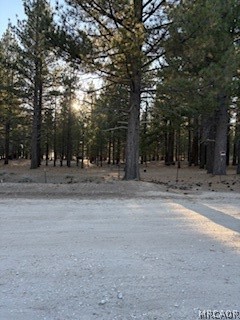 34557 Polique Canyon Road Lucerne Valley, CA 92356 - Photo 10 of 17