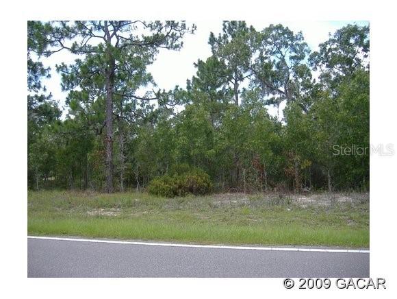 113 Whirlwind Loop Hawthorne, FL 32640 - Photo 1 of 1 Gallery Image 1