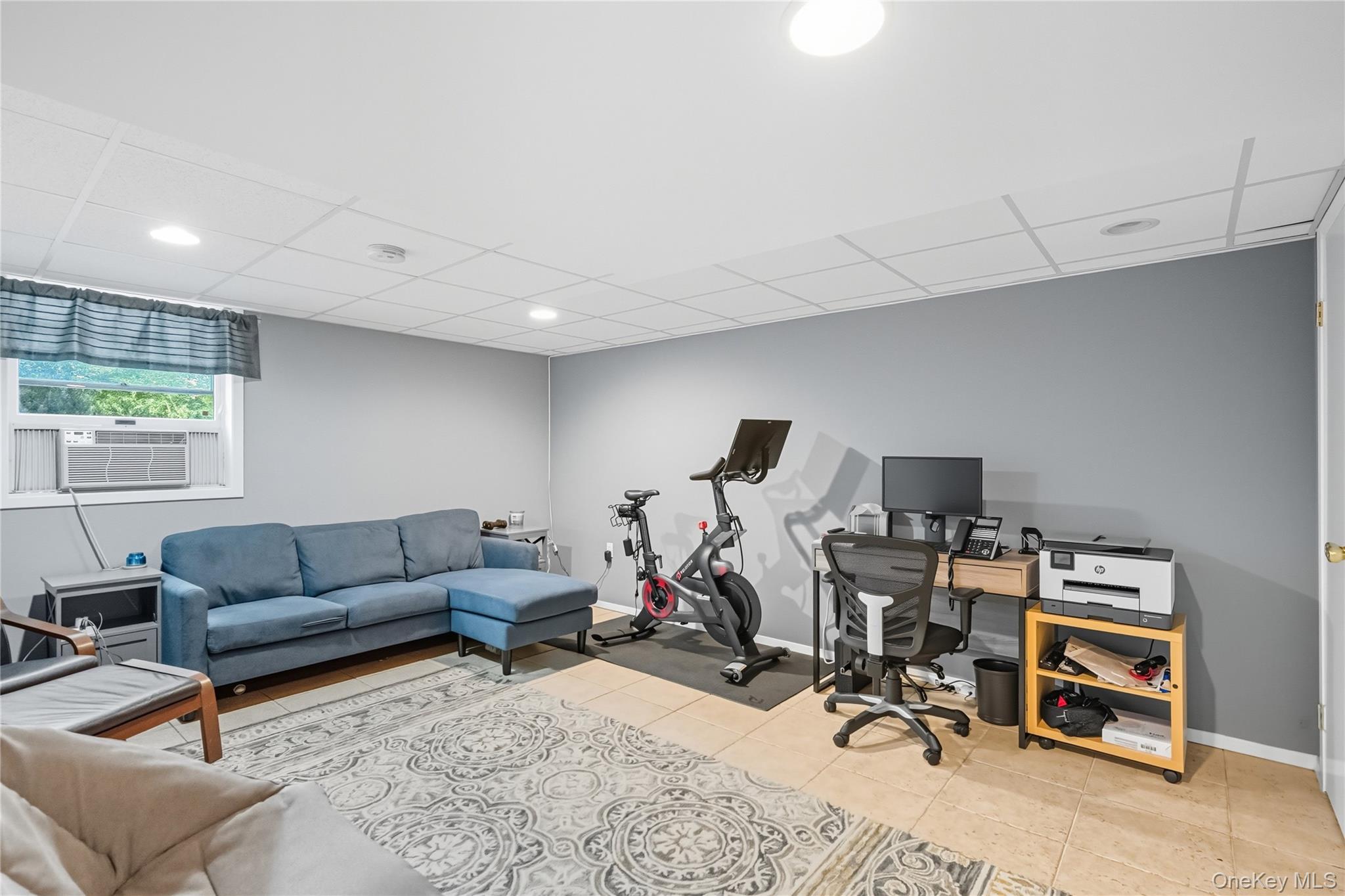 16 Pine Road Syosset, NY 11791 - Photo 33 of 48 Finished basement