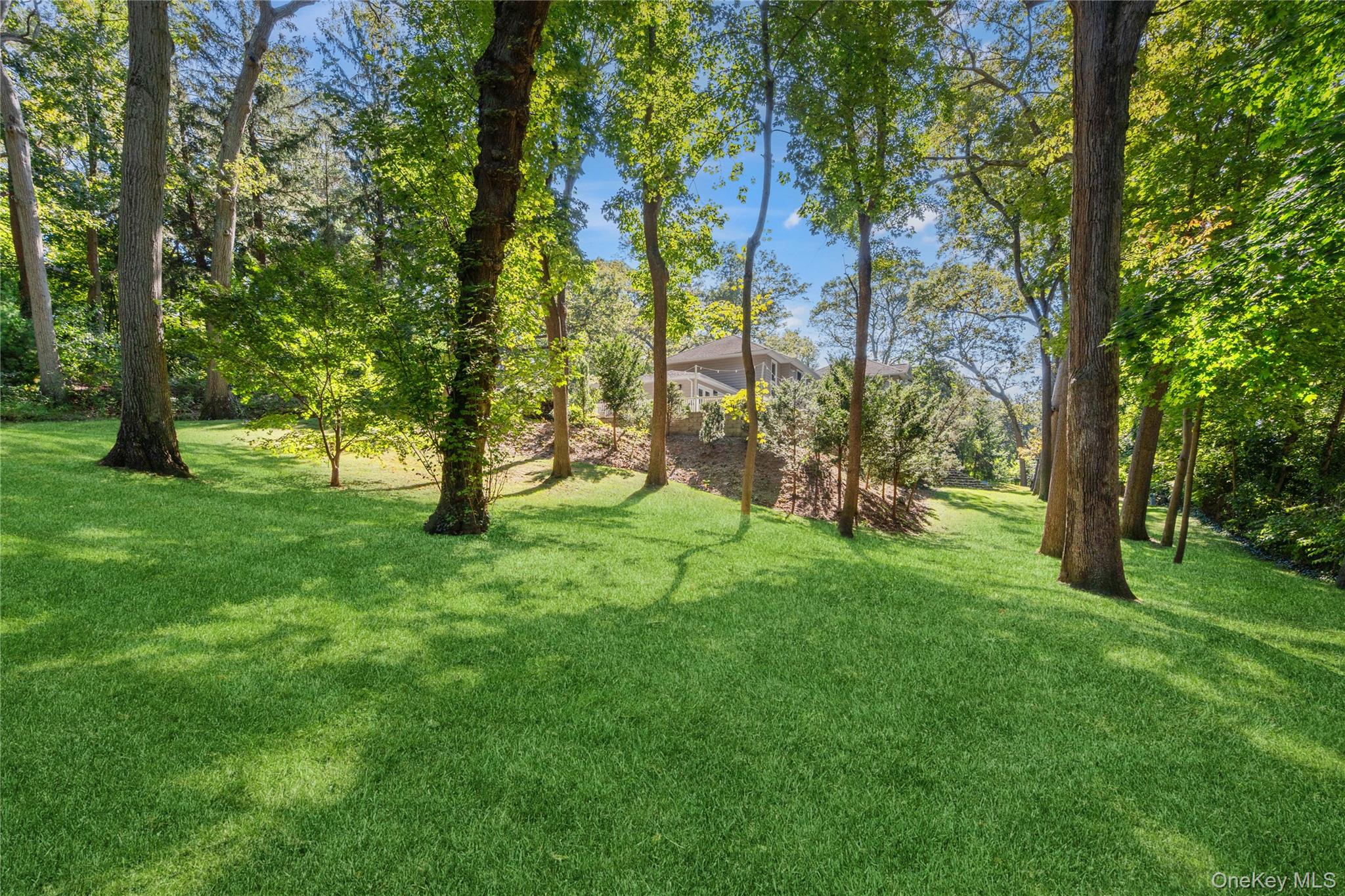 16 Pine Road Syosset, NY 11791 - Photo 46 of 48