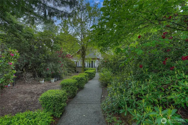 a view of a pathway both side of yard