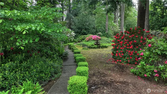 a view of a flower in a garden
