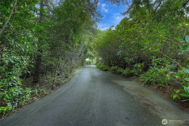 a view of a street with trees in the background