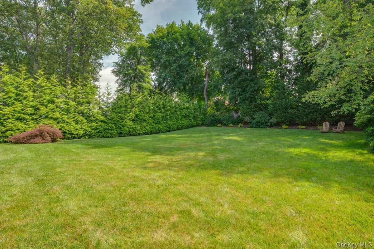 33 Temple Street Harrison, NY 10528 - Photo 27 of 31 a view of a field of grass and trees