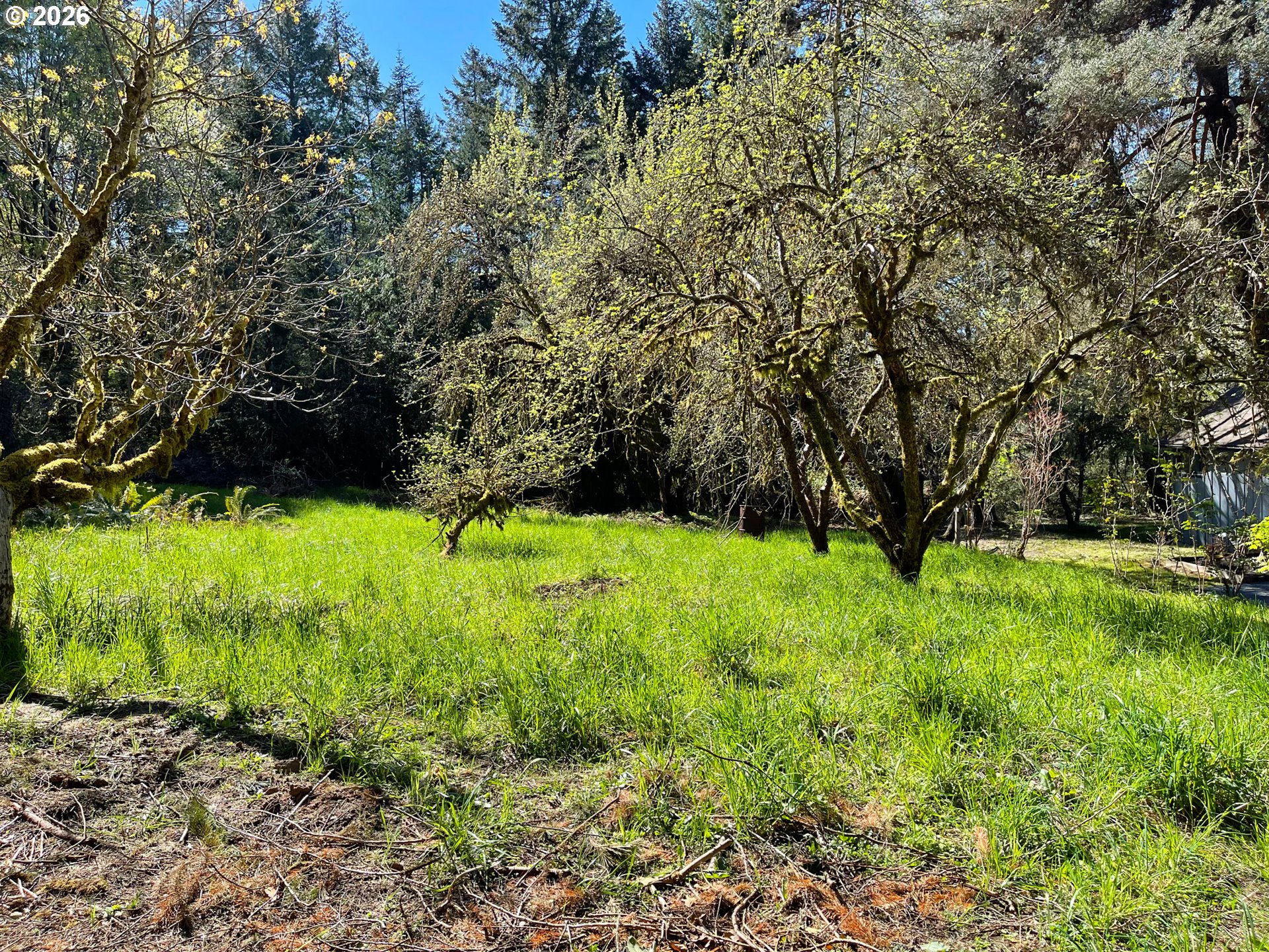 49640 Northwest S Road Gaston, OR 97119 - Photo 3 of 33