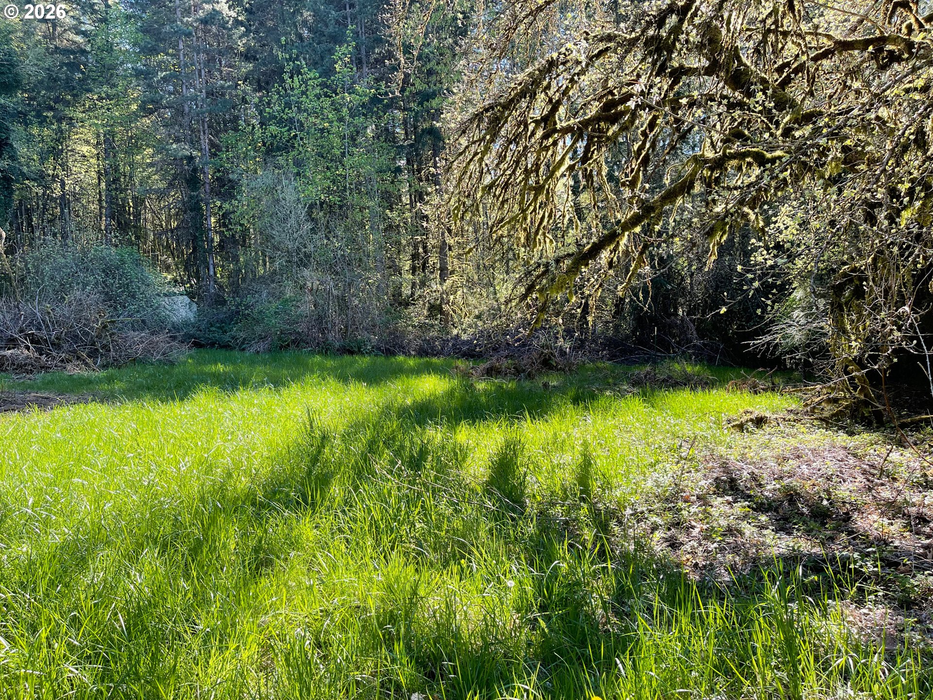 49640 Northwest S Road Gaston, OR 97119 - Photo 4 of 33