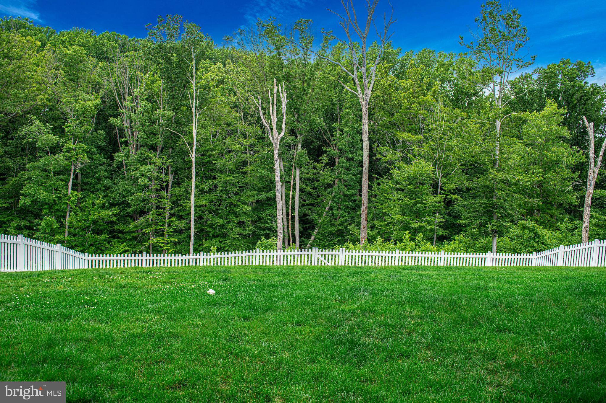 636 Iron Gate Road Bel Air, MD 21014 - Photo 43 of 53