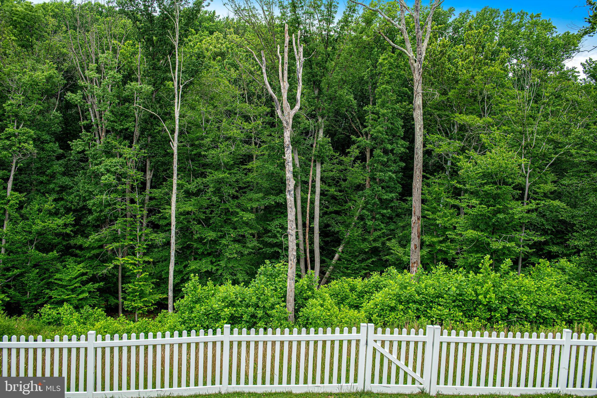 636 Iron Gate Road Bel Air, MD 21014 - Photo 46 of 53