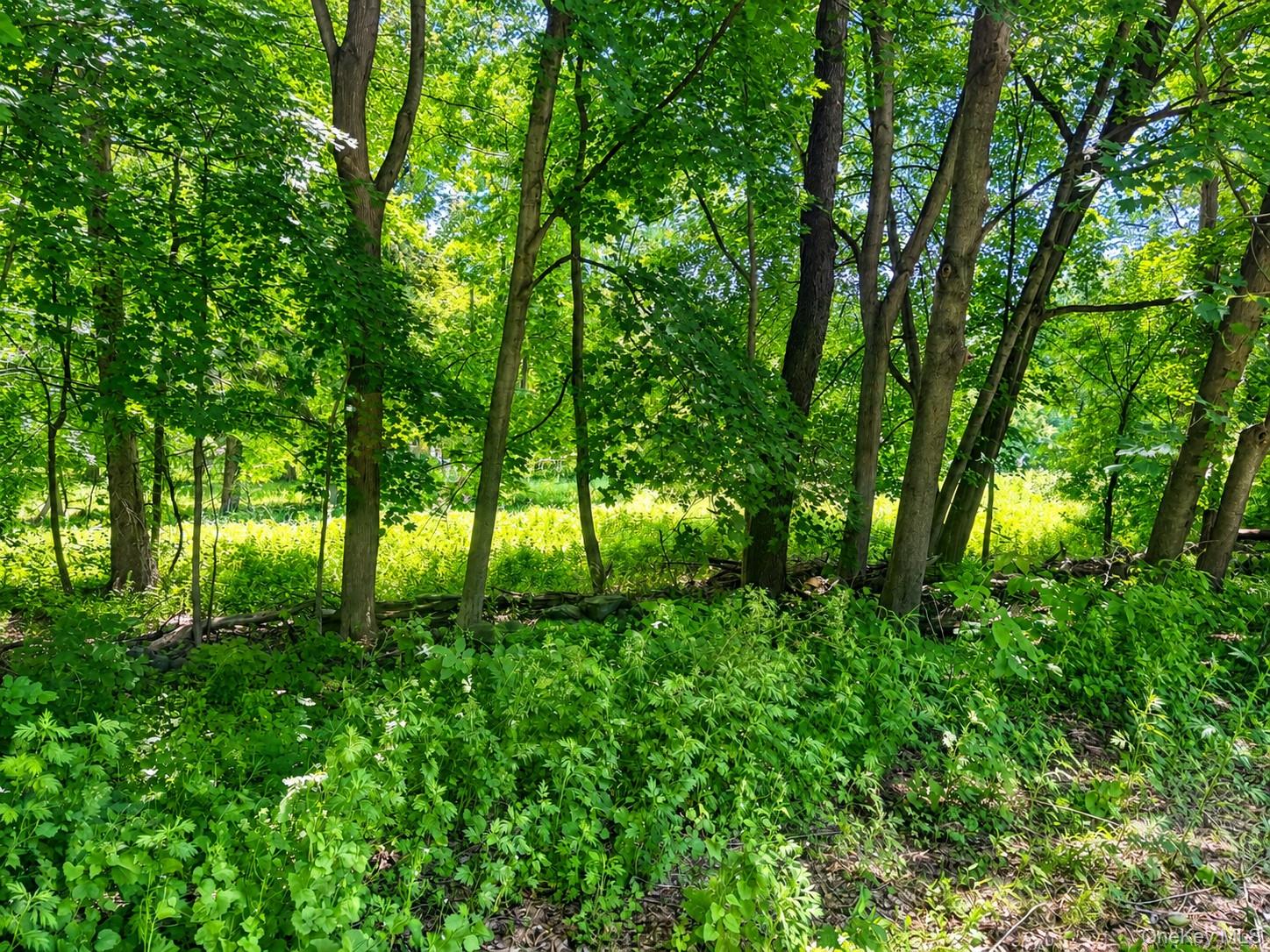 55 Route Poughkeepsie, NY 12603 - Photo 6 of 11