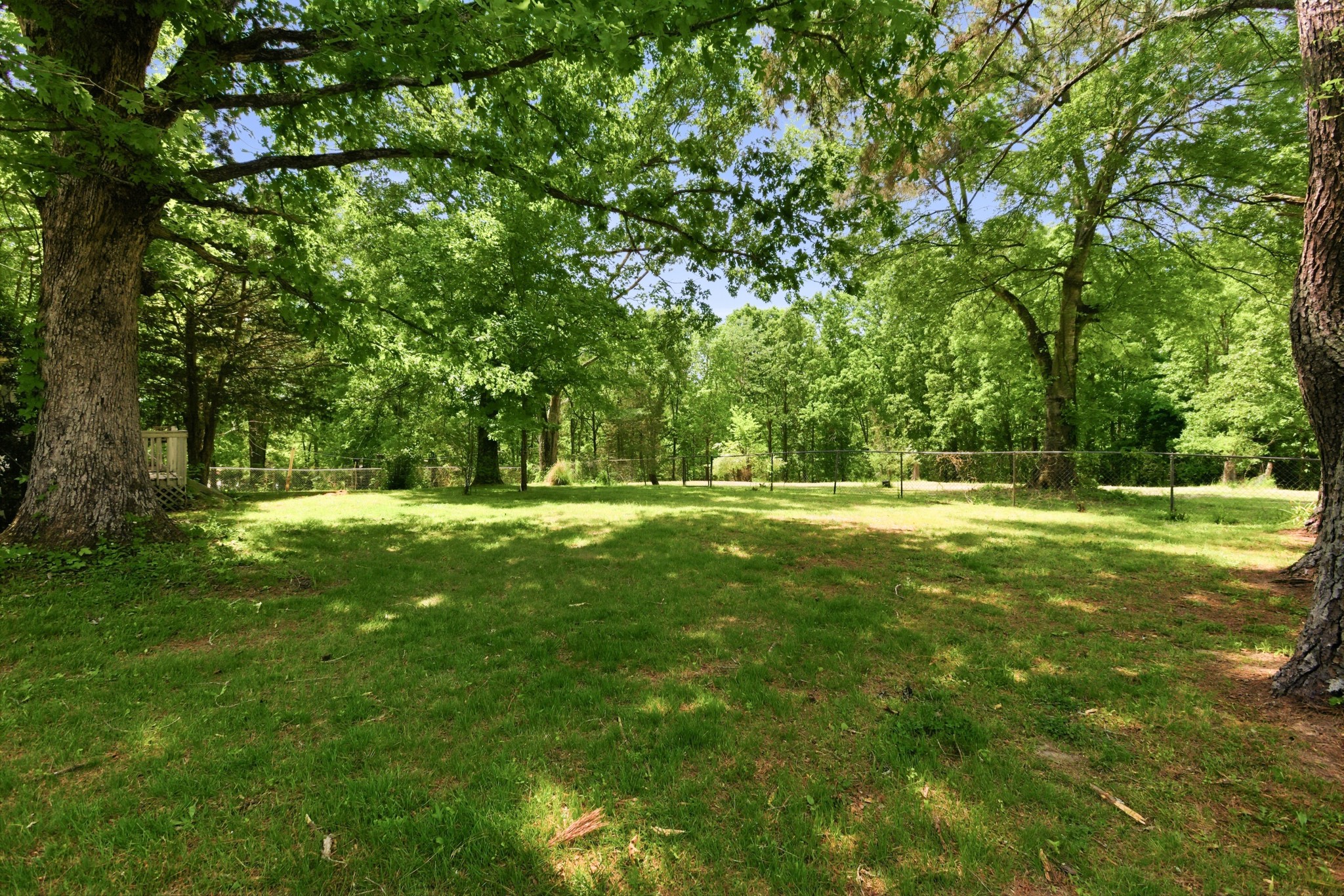 10075 Buckner Ridge Road Bon Aqua, TN 37025 - Photo 5 of 20 a view of outdoor space with trees all around