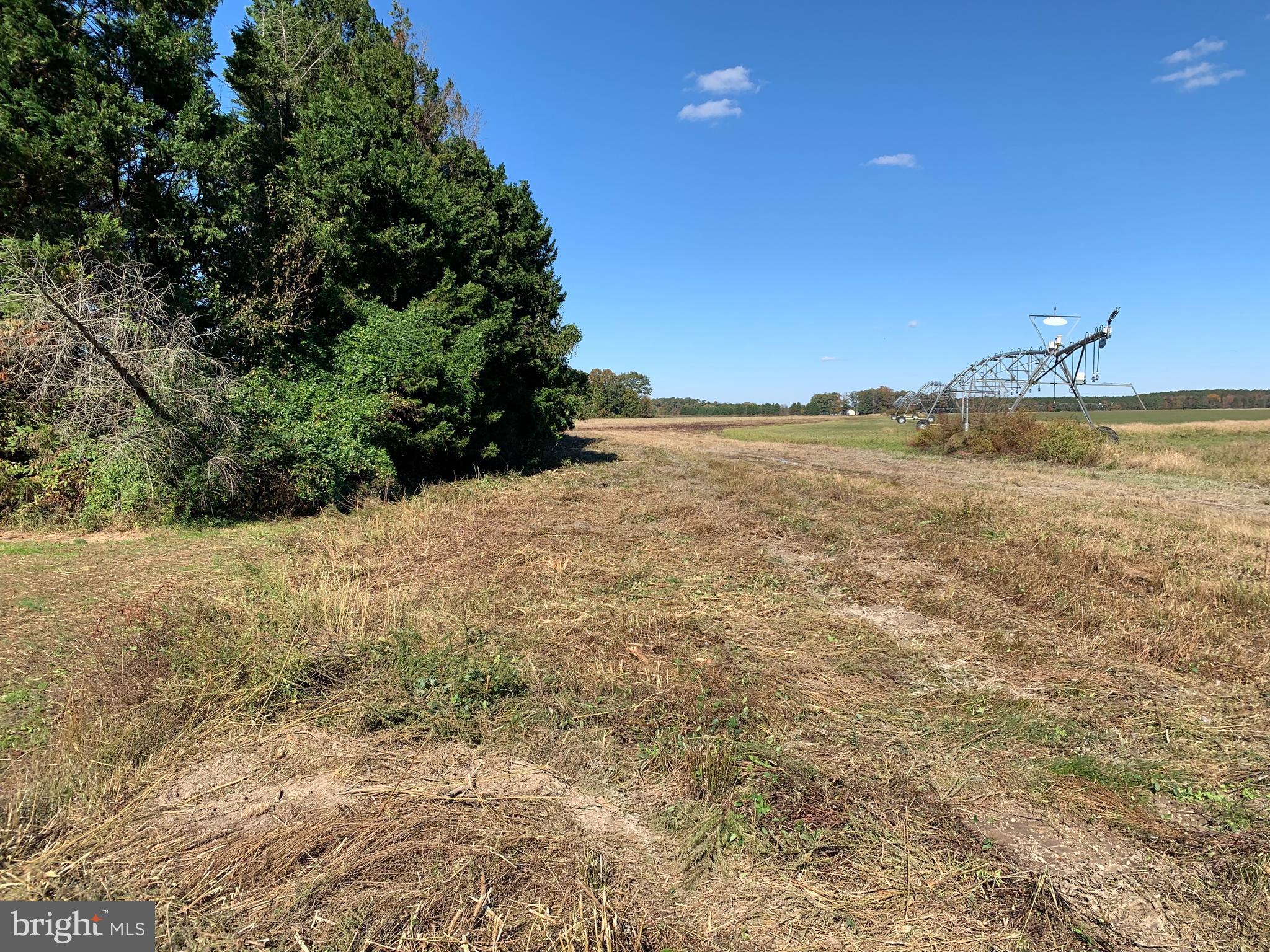 0 West Naylor Mill Road Salisbury, MD 21801 - Photo 1 of 13 a view of an ocean beach and mountain
