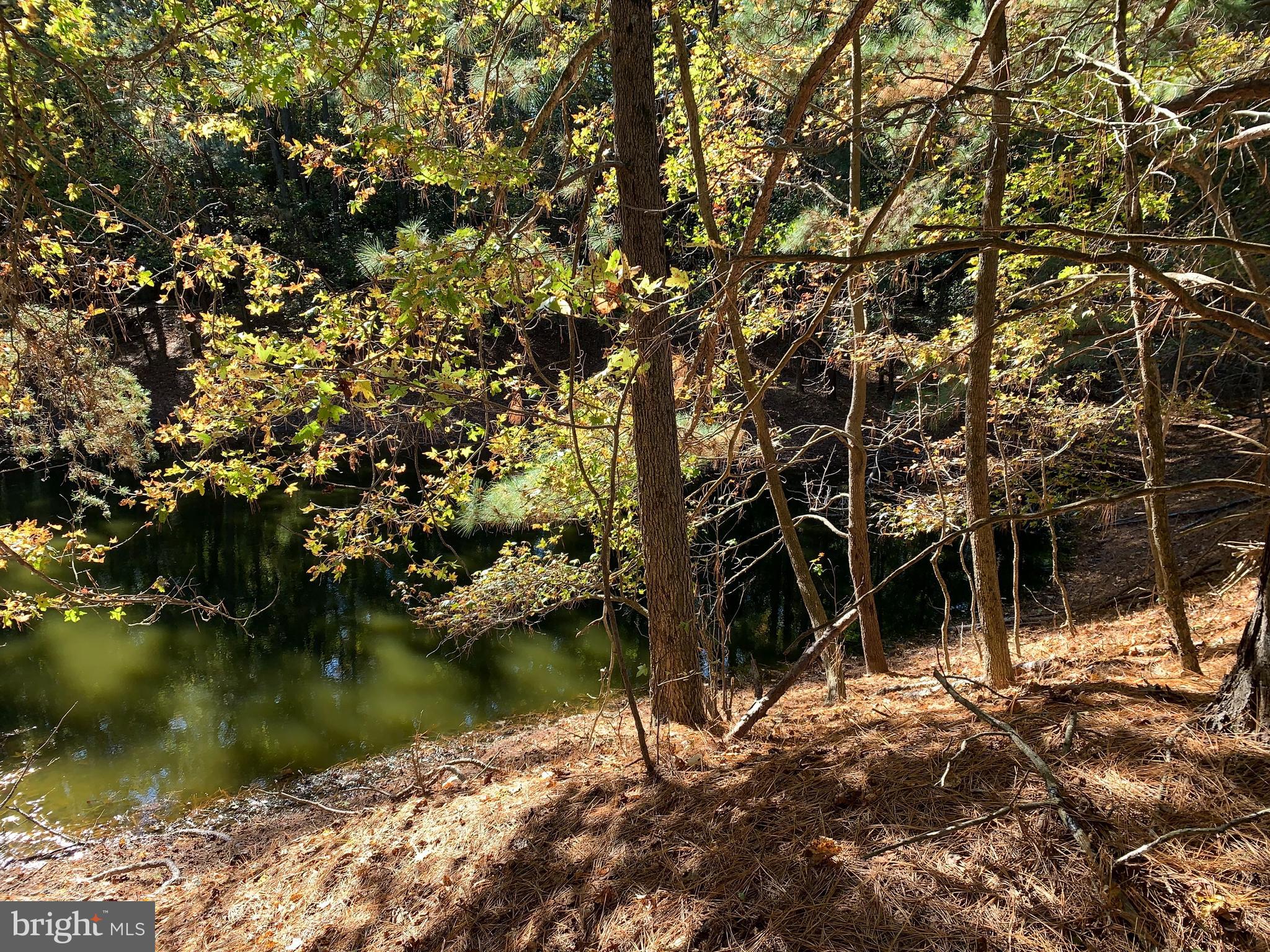 0 West Naylor Mill Road Salisbury, MD 21801 - Photo 11 of 13 a view of lake with a tree