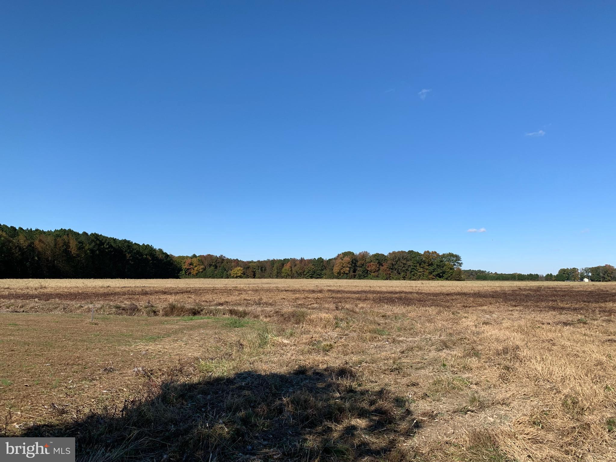 0 West Naylor Mill Road Salisbury, MD 21801 - Photo 3 of 13 a view of an ocean and beach