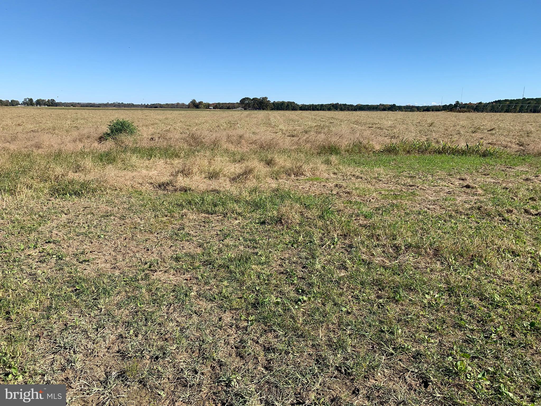 0 West Naylor Mill Road Salisbury, MD 21801 - Photo 5 of 13 a view of an ocean