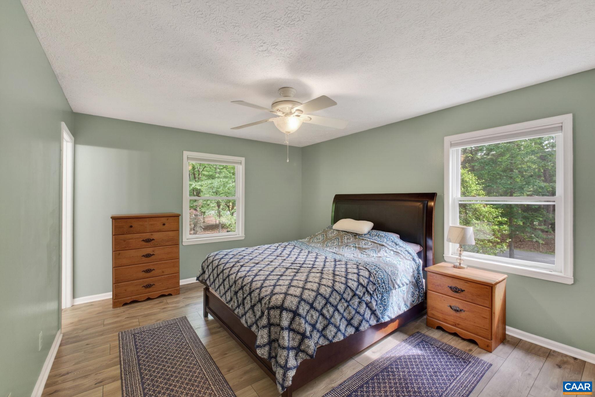 47 Dogleg Road Palmyra, VA 22963 - Photo 29 of 39 Primary Bedroom