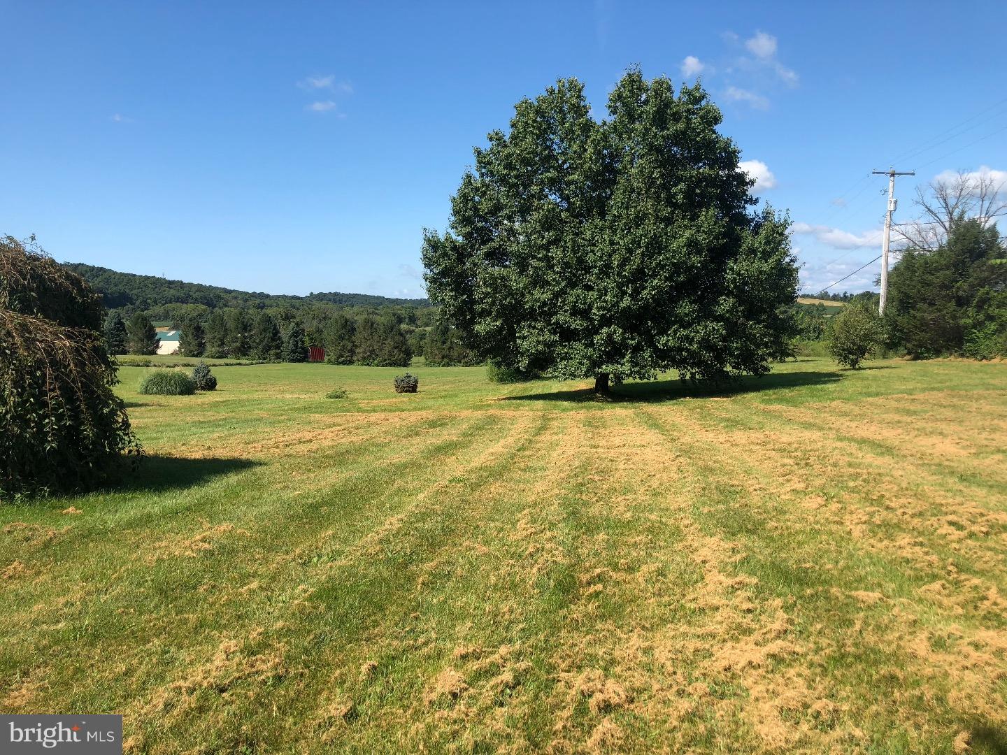 236 School Road Bernville, PA 19506 - Photo 22 of 24 Front Yard