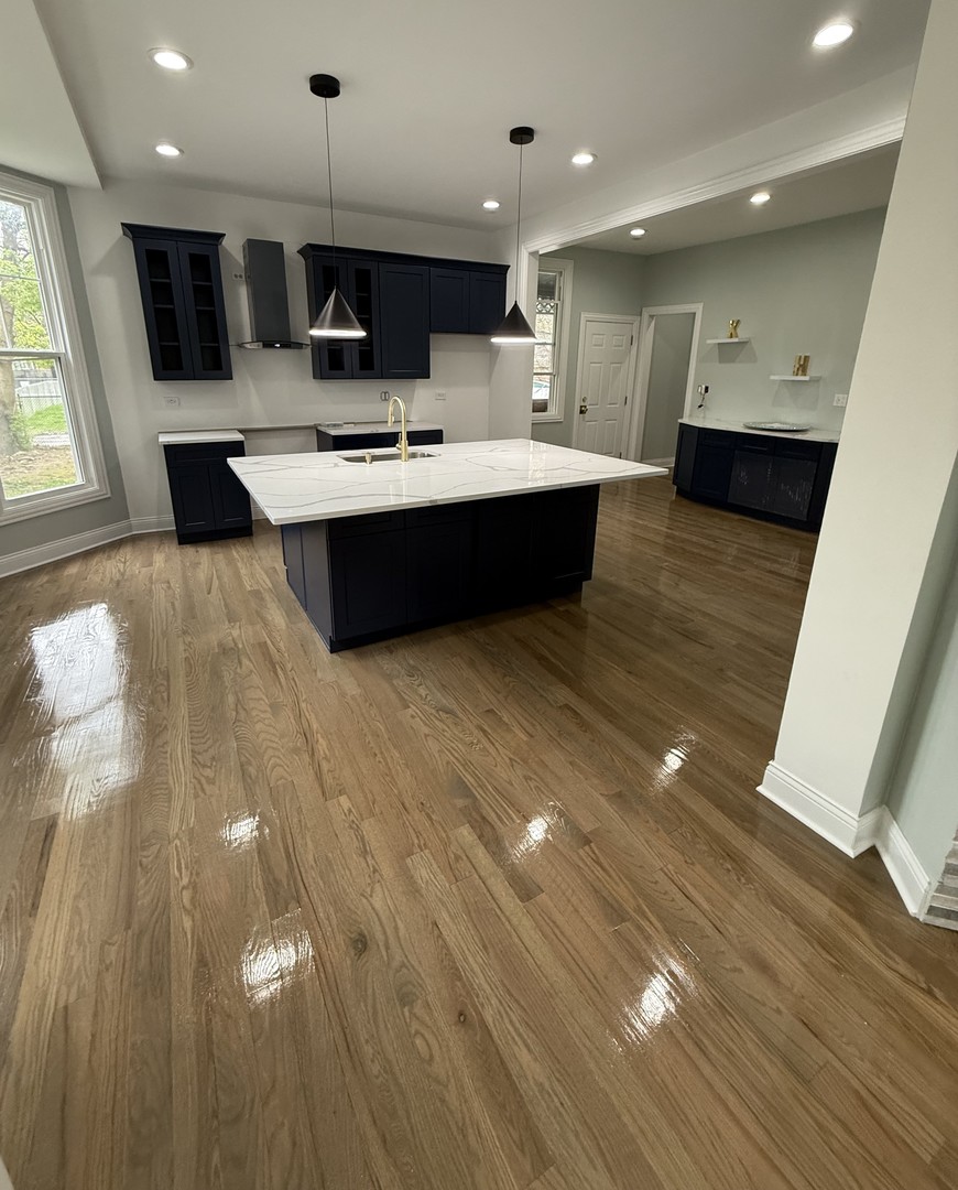 443 West 61st Place Chicago, IL 60621 - Photo 6 of 13