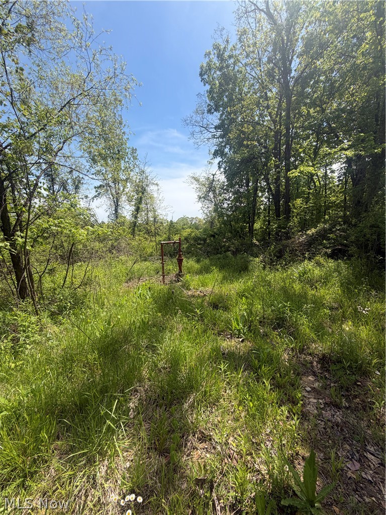 Southeast Robinhood Road Southeast Dennison, OH 44621 - Photo 5 of 7