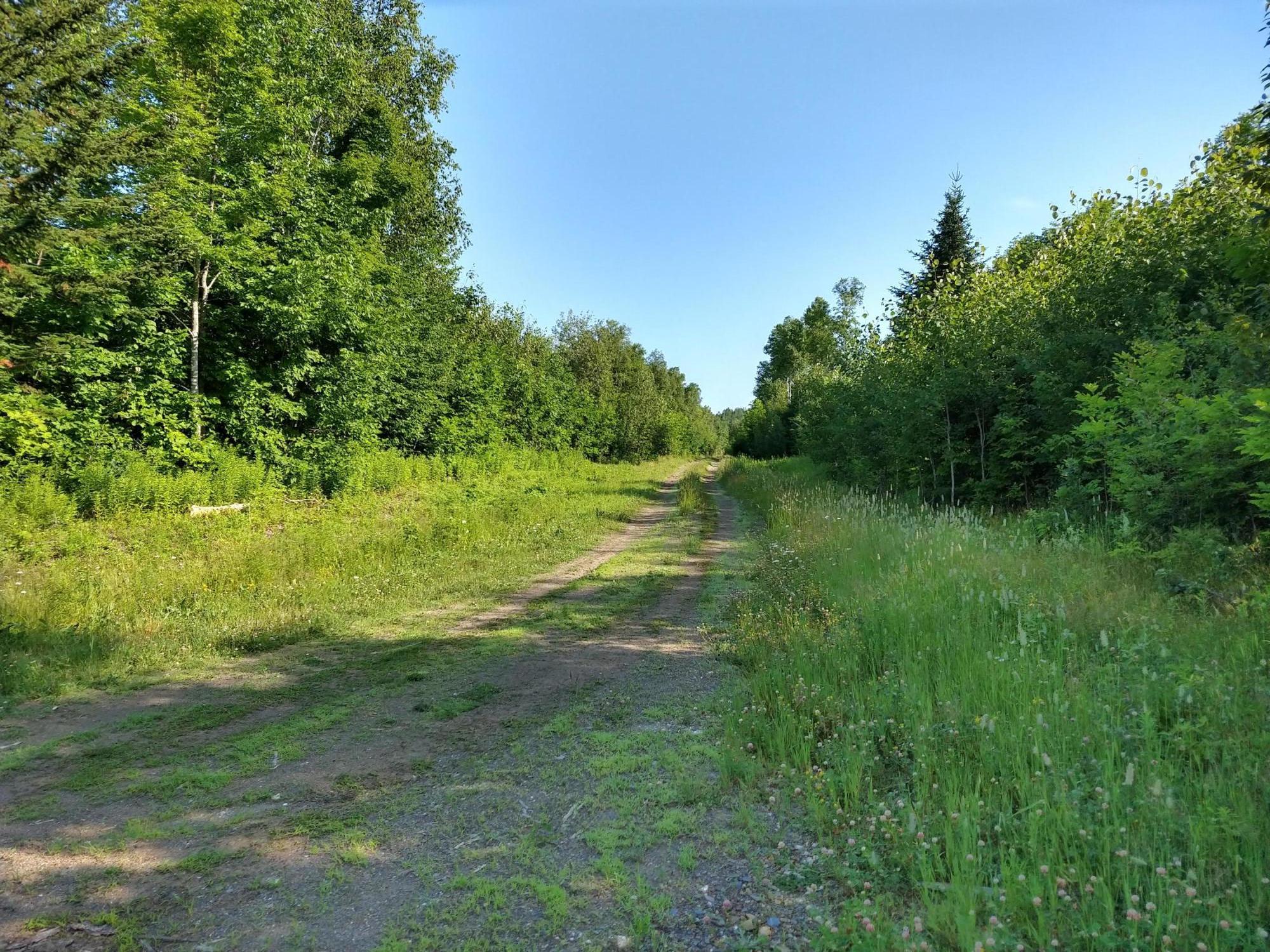 L105 Waters Road Patten, ME 04765 - Photo 2 of 15 IMG_20190716_084044651_HDR