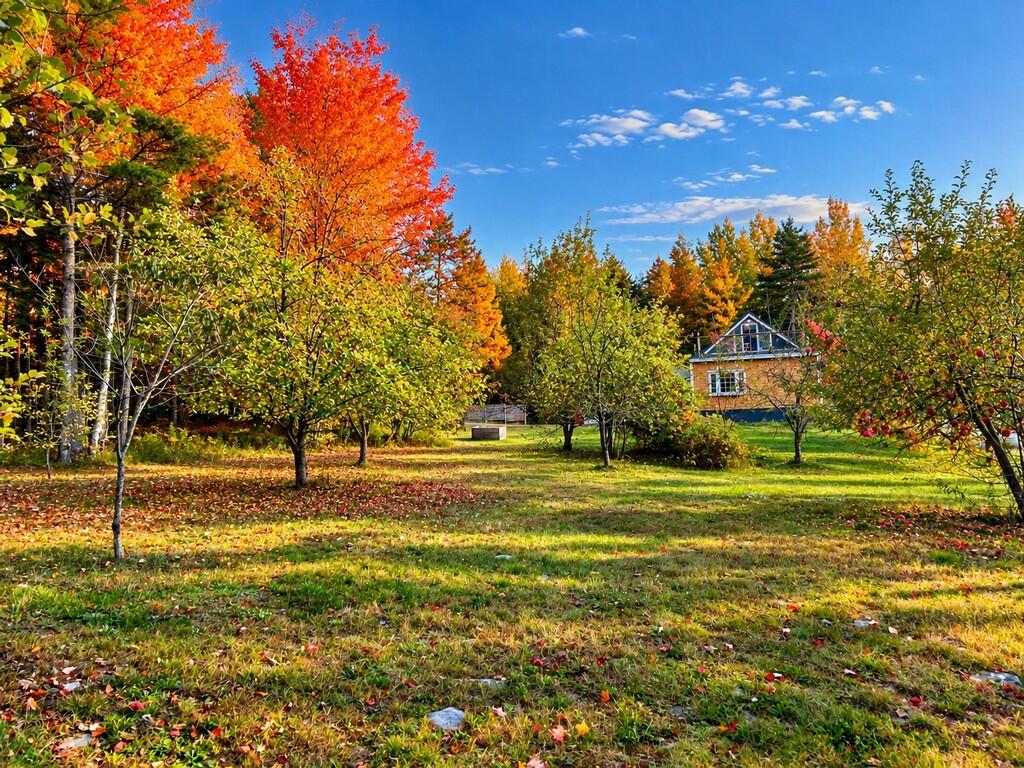 241 Baker Brook Road Bradley, ME 04411 - Photo 68 of 106 Lawn 4 (251-BBR-Bradley) (Copy)