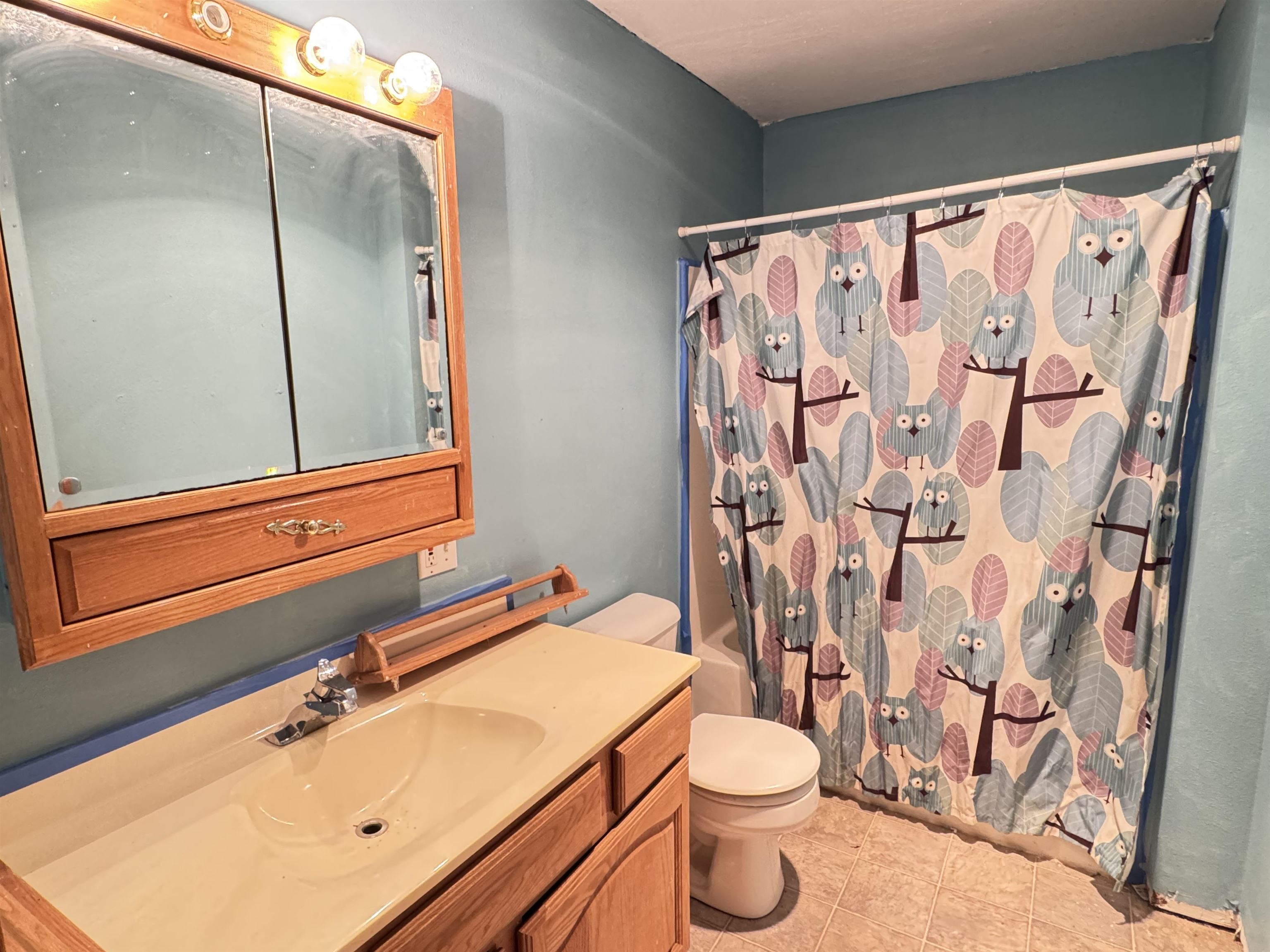 E8032 East Lake Virginia Road Reedsburg, WI 53959 - Photo 18 of 25