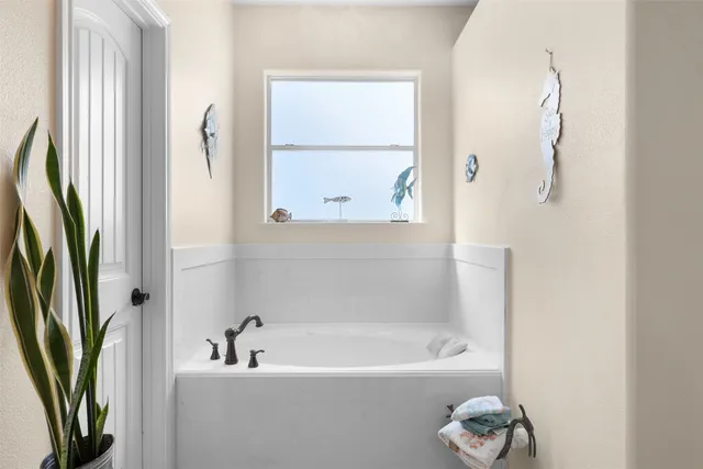 a bathroom with a tub a potted plant and a window