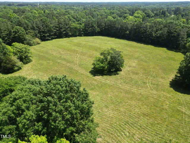 a view of a lush green forest with houses