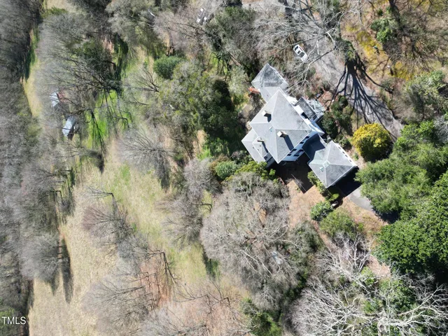 a view of a yard with plants and tree