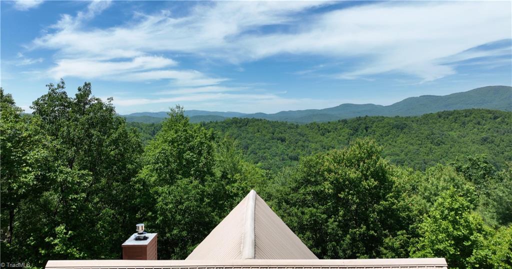 462 Casey Mountain Road Purlear, NC 28665 - Photo 45 of 50