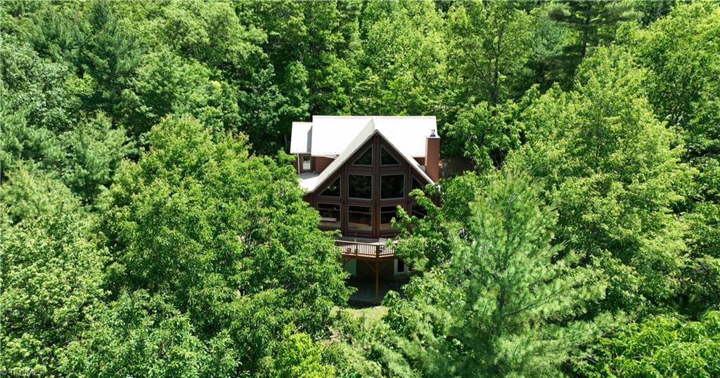 462 Casey Mountain Road Purlear, NC 28665 - Photo 48 of 50