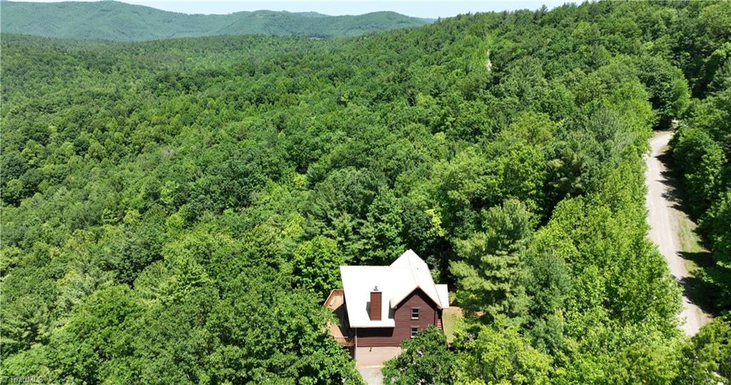 462 Casey Mountain Road Purlear, NC 28665 - Photo 50 of 50