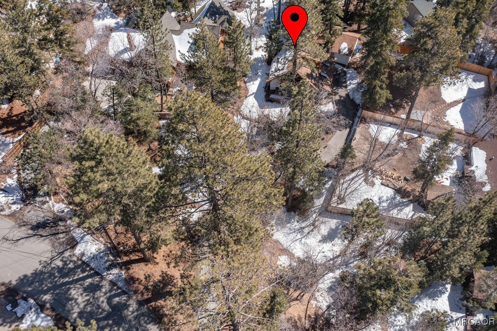 43411 Sheephorn Road Big Bear Lake, CA 92315 - Photo 50 of 50