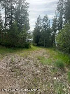 $1,700,000 | 11-12 Windsong Way, Alpine, WY 83128