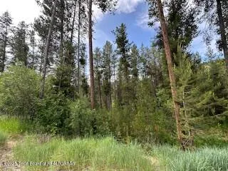 $1,700,000 | 11-12 Windsong Way, Alpine, WY 83128