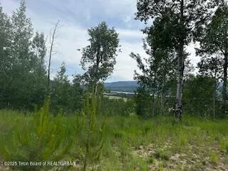 $1,700,000 | 11-12 Windsong Way, Alpine, WY 83128