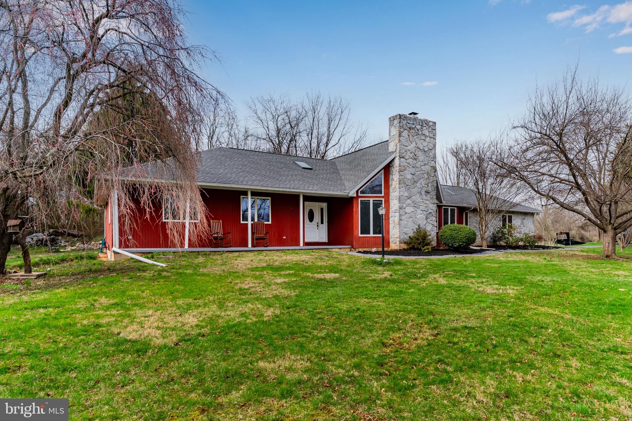 a view of a big yard with plants and large trees
