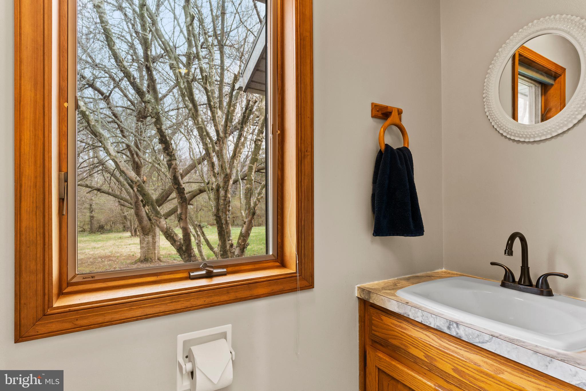 540 Springfield Road Newville, PA 17241 - Photo 24 of 59 a bathroom with a sink and a mirror