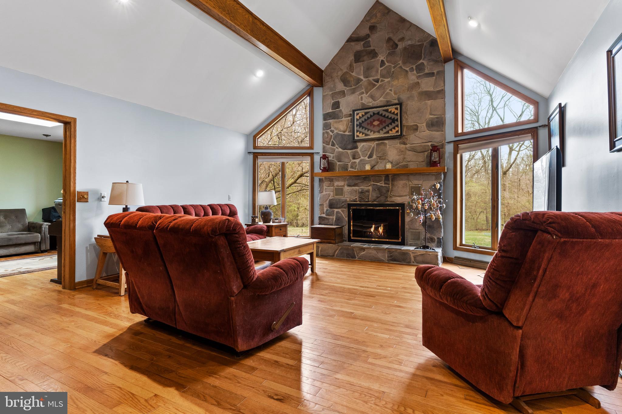 540 Springfield Road Newville, PA 17241 - Photo 4 of 59 a living room with furniture a fireplace and a window