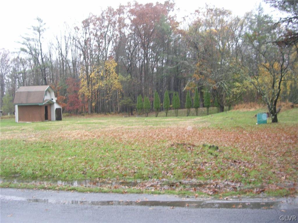 1468 Clearfield Road Wind Gap, PA 18091 - Photo 1 of 6 a backyard of a house with lots of green space
