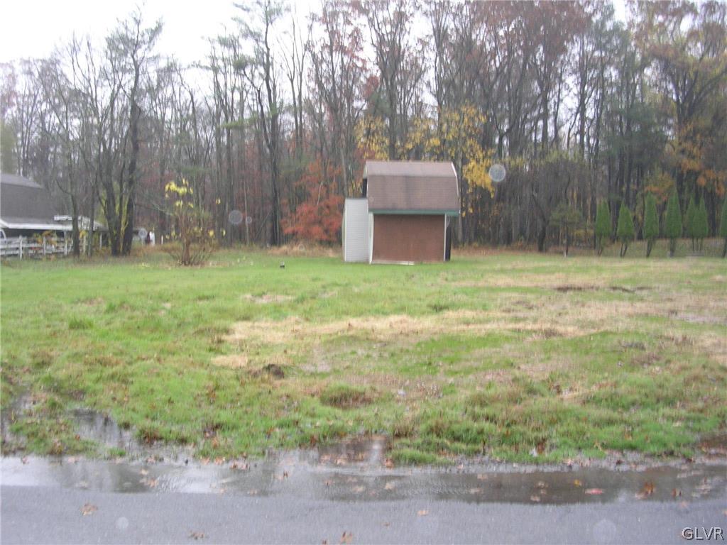 1468 Clearfield Road Wind Gap, PA 18091 - Photo 3 of 6 a backyard of a house with trees and outdoor space