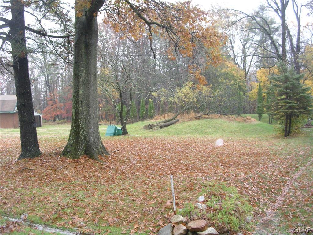 1468 Clearfield Road Wind Gap, PA 18091 - Photo 4 of 6 a view of a yard with a tree
