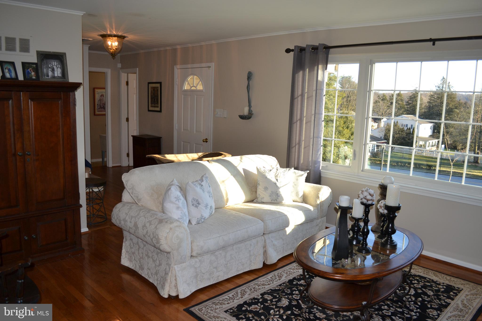 Bright Living Room
