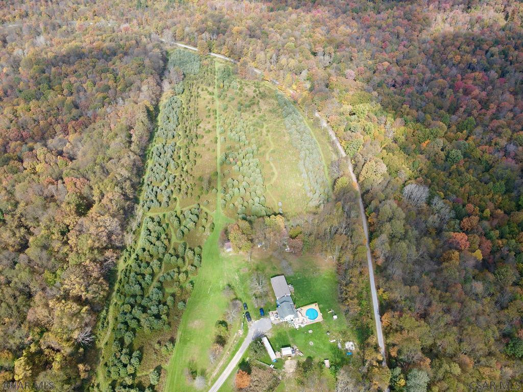 49-acres 49-acres Off Of Snake Road Ebensburg, PA 15931 - Photo 1 of 6