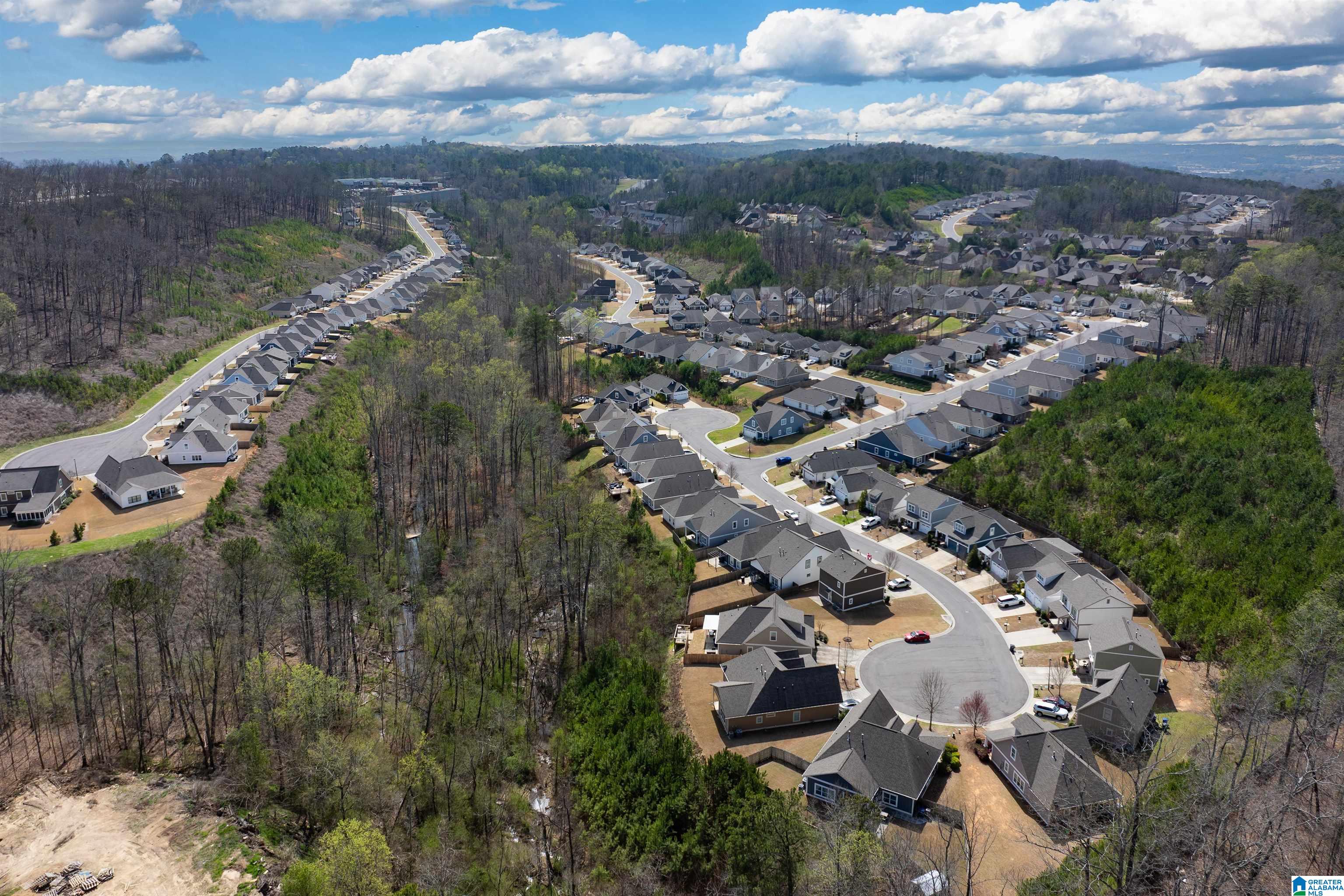 1429 Valley Trace Birmingham, AL 35210 - Photo 30 of 31